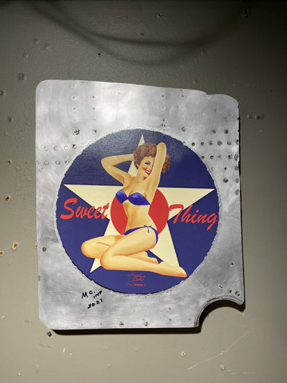 Sweet Thing pin up airplane panel art