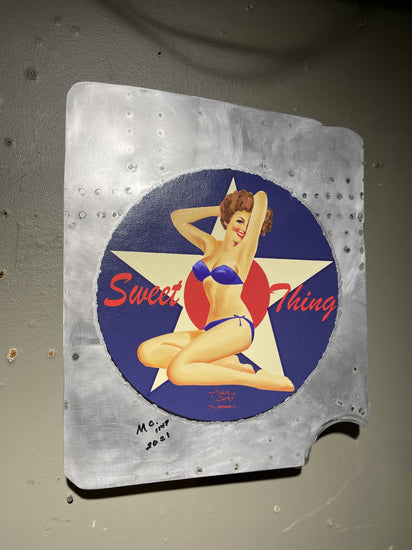 airplane panel pin up art main view